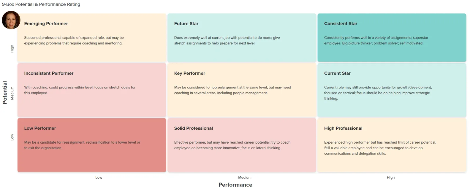 Workzoom Talent Suite showing 9-box succession planning grid - talent management software