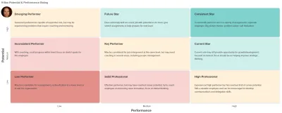 Workzoom succession planning 9-box grid rating employees by performance and potential, from emerging performer to consistent star, succession planning software in Workzoom