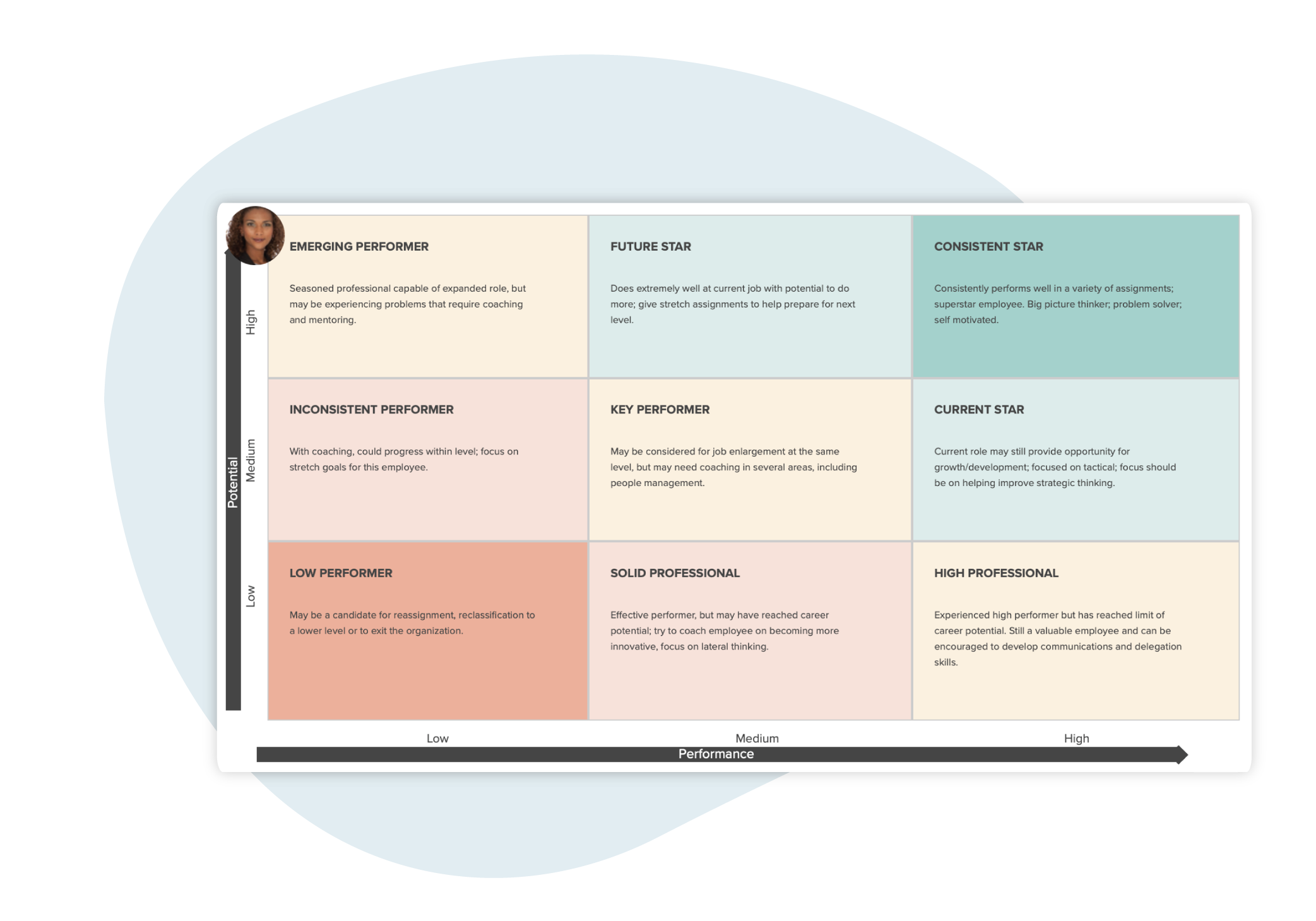 Feature of Workzoom 9-box for performance and potential