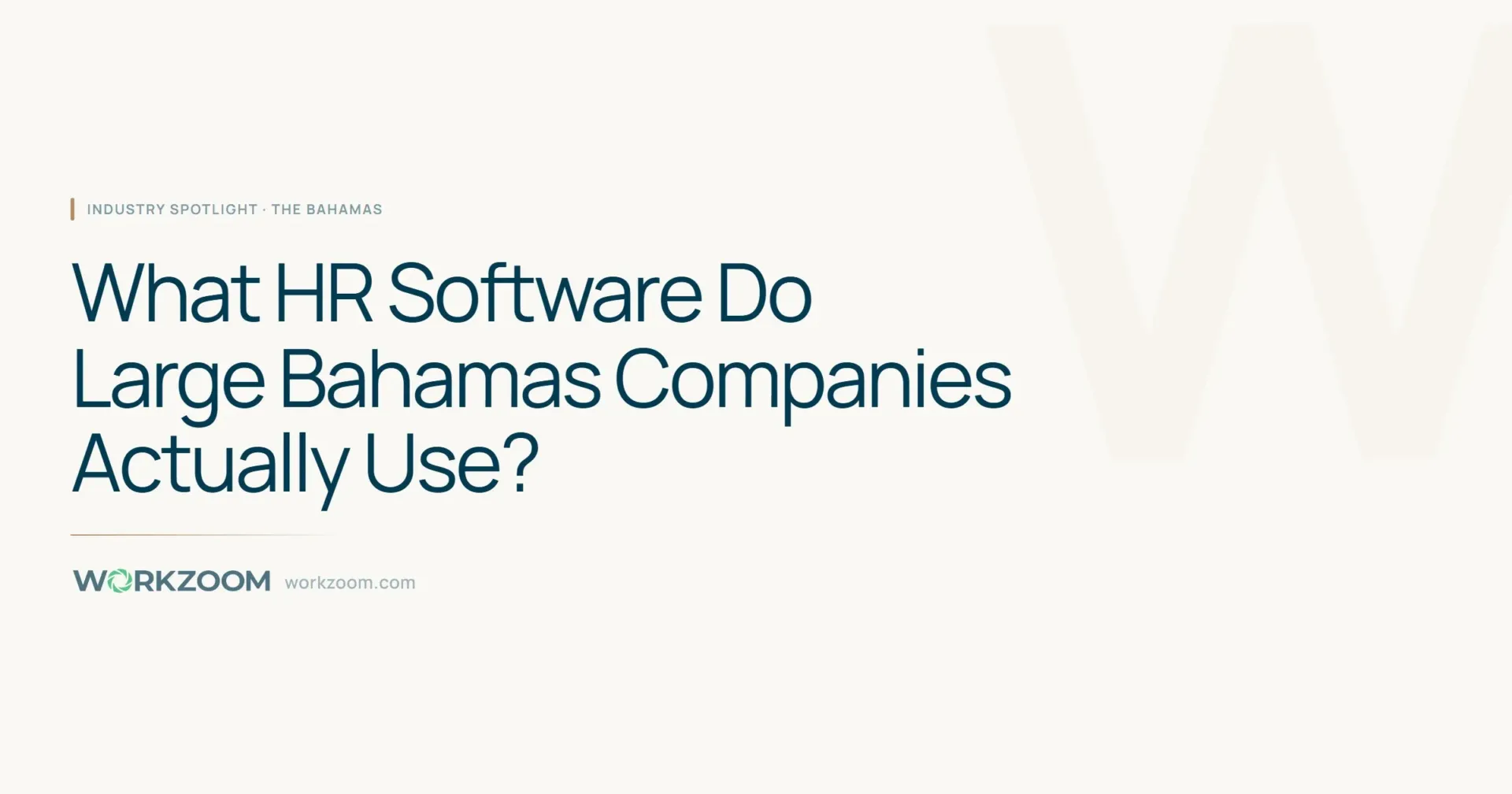 What HR Software Do Large Bahamas Companies Actually Use? - Industry Spotlight - Workzoom